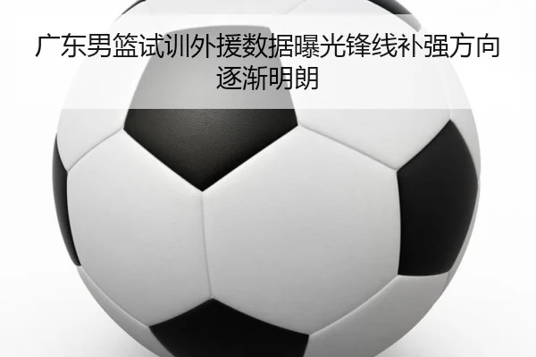广东男篮试训外援数据曝光锋线补强方向逐渐明朗